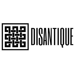 logo DiSantique, modni design, designer, moda, kreativnost, brcko, modna kolekcija, nove nade